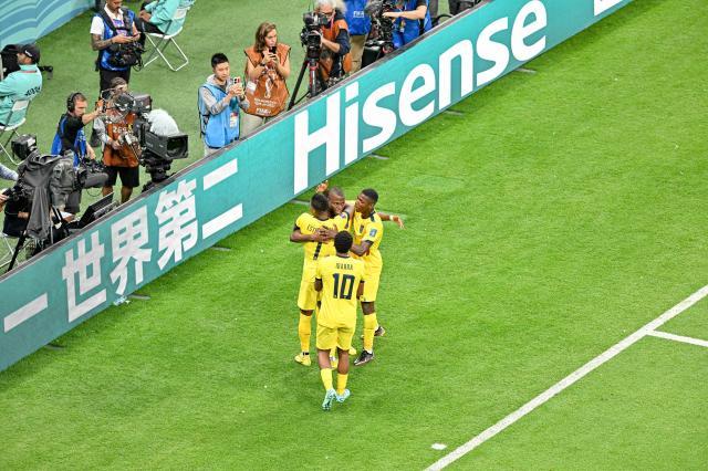 开云体育官网-厄瓜多尔的欢庆有他一份 队友:胜利献给卡斯蒂略